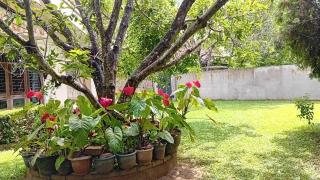 Wkvila 2 - Weligama - 1