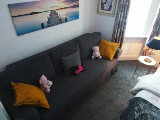 Stylish 2 Bed Room Apartment 5 sleep free wIFI & p - Newport - 2