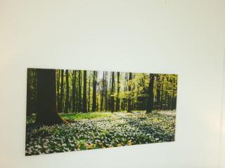 Stylish 2 Bed Room Apartment 5 sleep free wIFI & p - Newport - 1
