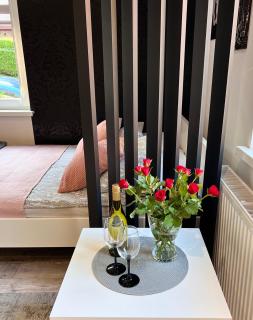 Apartament Stary Zdroj Polanica Resort - Polanica-Zdrój - 0