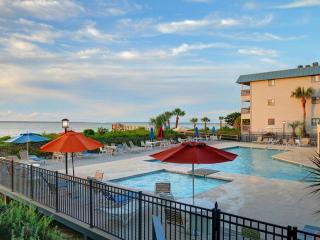 Dolphin Watch - Tybee Island - 9
