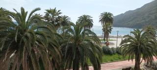 A un passo dal mare CIN ITO1OO59C29ZGY7FLN - Riva Trigoso - 4