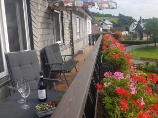 Flat in Medebach near the ski area - Medebach - 5