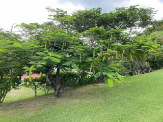 Sugarhill Villa - Jolly Harbour - 1