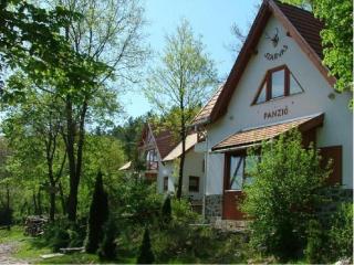Szarvas Panzió - Erdőbénye - 4
