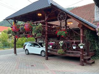 Pensiunea Gaiu - Albac - 9