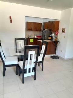 Comodo apartamento en el centro de la ciudad - Santiago de los Caballeros - 0