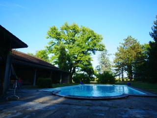 Maison bourgeoise dans un vignoble - Soussac - 7