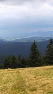 Dom Wypoczynkowy Pod Polanką - Korbielów - 7