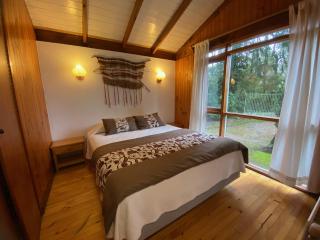 Cabañas Loncotraro - Pucón - 4