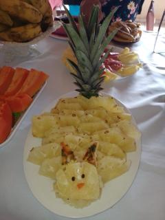 Chalé Esmeralda - Serra de Guaramiranga - Guaramiranga - 7