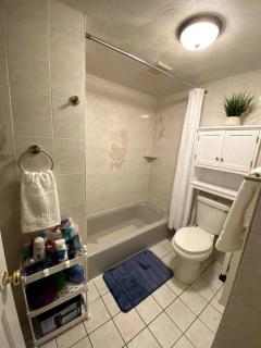 Glorious Suite near Downtown with washer/dryer - 6