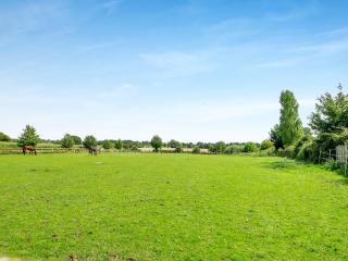 Chestnut Lodge - Old Buckenham - 3