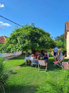 Apartman Petrovic - Rudnik - 3