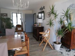 Gîte spacieux à Briare avec terrasse, idéale pour familles et séminaires, animaux acceptés. - FR-1-590-371 - Briare - 2