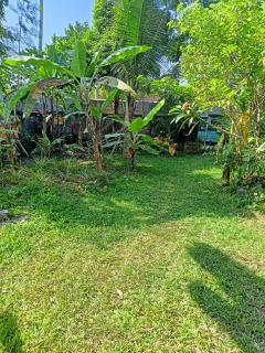 Bali Asli Guest House by EPS - 2