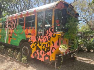 CasaBus beautiful bus dept. 50m from beach - Santa Cruz - 7