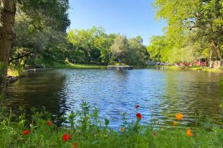 Le Petit Chalet - Glen Ellen - 9