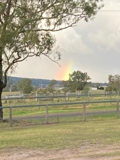Clarendon Cottage , near lowood - Clarendon - 8