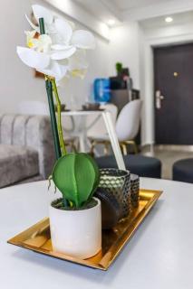 Lovely furnished cozy 2Bed/Room - Nairobi - 7