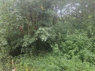 Immaculate 1-Bed Apartment in Woodford Green - 7