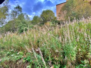 Pleta de Soldeu 345 hasta 4 personas. - 2