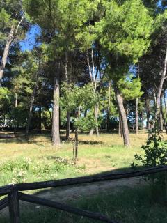 A due passi dal mare - 7