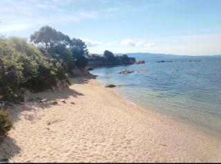 Magnifique T2 ajaccio - Ajaccio - 9