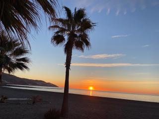 Apartamento La Mamola - La Mamola - 1