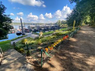 Houseboats Mookerplas met dakterras - Middelaar - 8