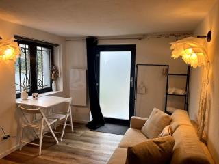 Studio Strasbourg avec jardin - Estrasburgo - 4