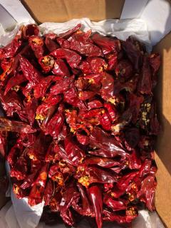 Un écrin dans la nature - 8