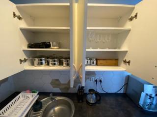 Little White Frog - 1