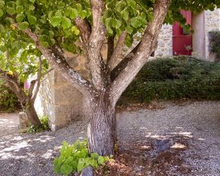 Secluded house with amazing view and swimming pool - Buis-les-Baronnies - 3