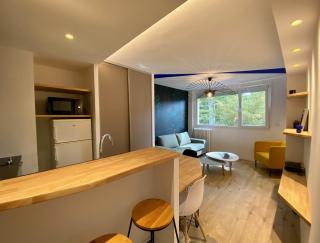 Appartement refait à neuf centre-ville - 4
