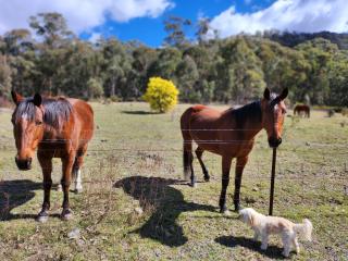 Redgate Homestead - Hartley - 6