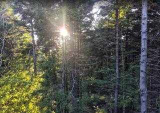 Ski-71 @Snowshoe Condo w/Loft. Slopes across the street! - Snowshoe - 7