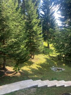 Chalet Escapade with Sauna - Žabljak - 1