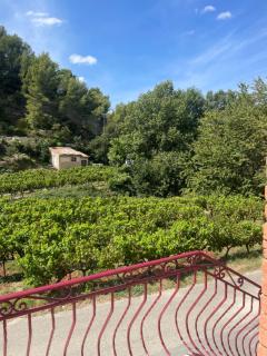 Appartement au calme au milieu du vignoble de Gigondas - Gigondas - 8