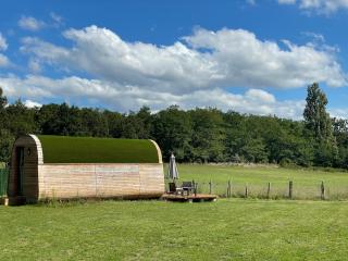 Logement insolite : La Ruche Verte - Monts-sur-Guesnes - 9