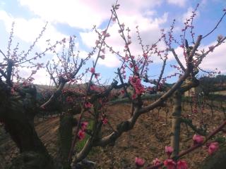 Can Pavet - Pontons - 5