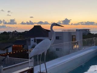 sunsteps casa holbox - Isola Holbox - 3