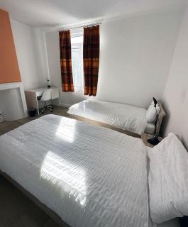 Large Quiet Whole House near Historic Gent Centre - Gand - 1