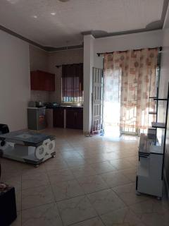 Gated Modern furnished 1BHK APT - Kampala - 4