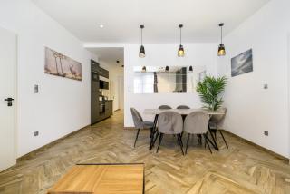 Lion 3Bedroom apartment in hear of city - Budapeste - 4