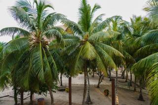 Castillete Hotel & Beach Club - Tierra Bomba - 7