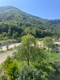 Yeşil ve huzur dolu bir daire - 0