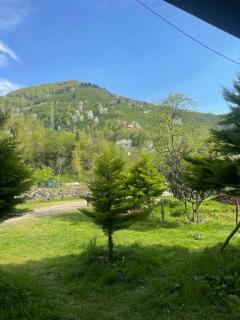 Yeşil ve huzur dolu bir daire - 1