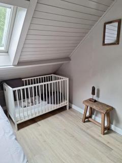 Family Wellness lodge 4 personen Zuid-Holland! - Ooltgensplaat - 3