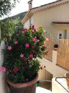 l’Anita - Théoule-sur-Mer - 8